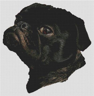 (image for) Watching You - Black Pug